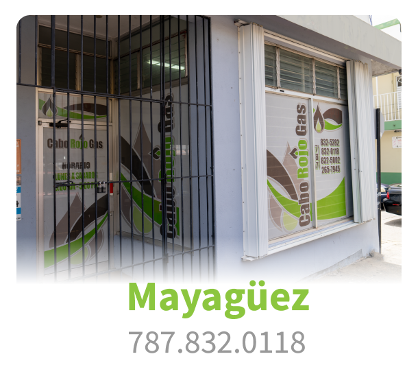 mayaguez